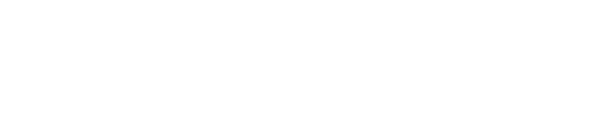 IT consulting company profile collaboration with Radisson hotel group